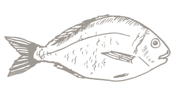 350x199 15 Seafood Drawing For Free Download On Mbtskoudsalg - Seafood Sketch