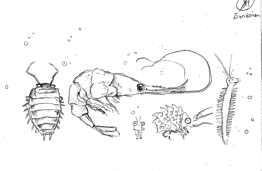 1000x654 (Luonnos) - Seafood Sketch