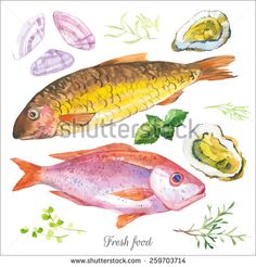 236x246 51 Best Drawing. Seafood Images Drawings, Pisces - Seafood Sketch