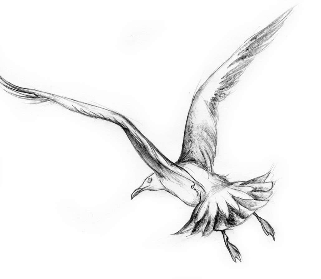 +1english Chapter 1 Seagull character Sketch