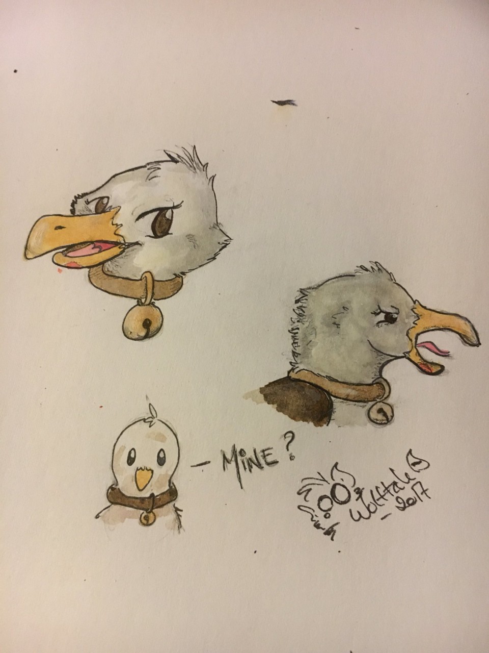 960x1280 Seagull Sketch - Seagull Sketch