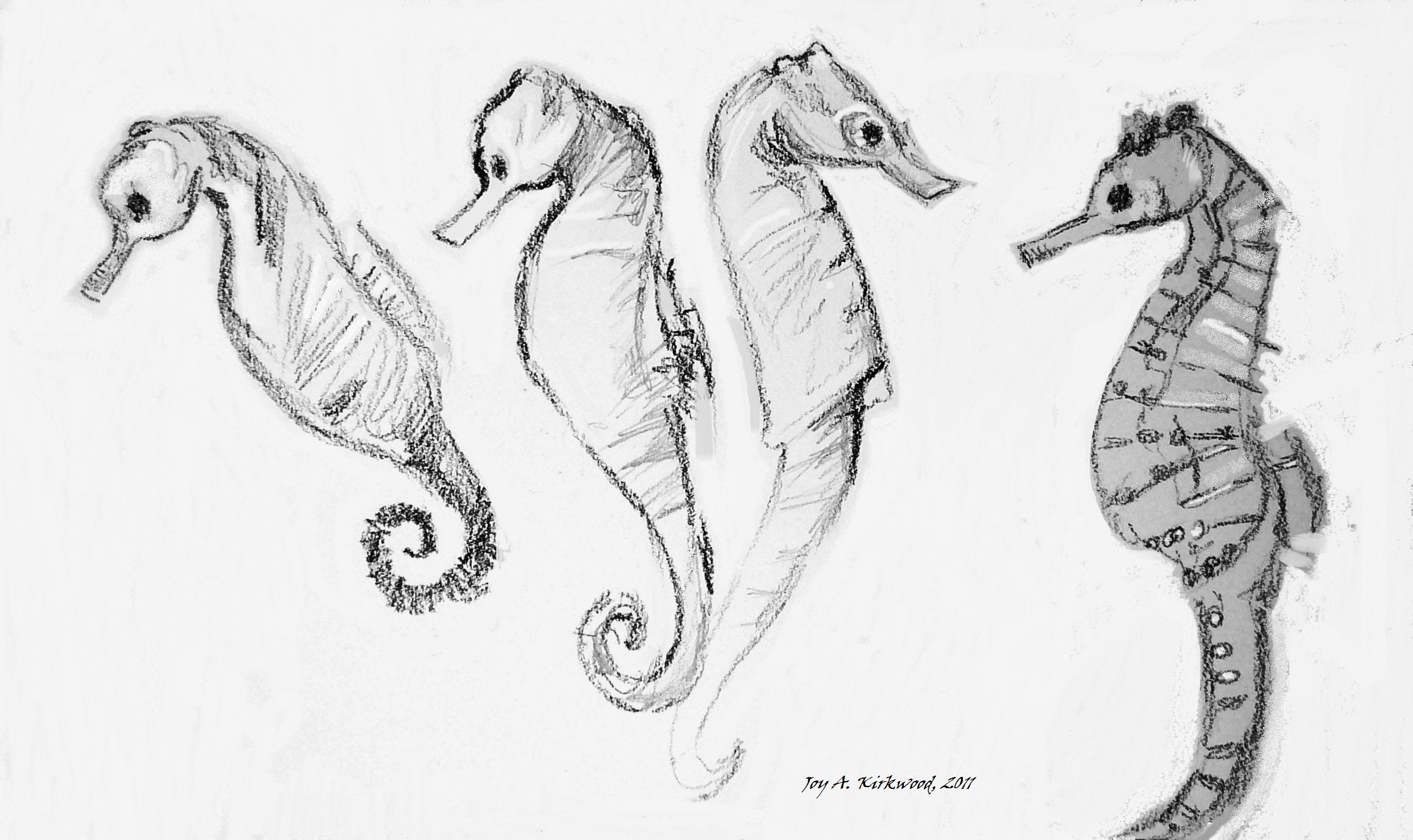 Seahorse Sketch at PaintingValley.com | Explore collection of Seahorse ...