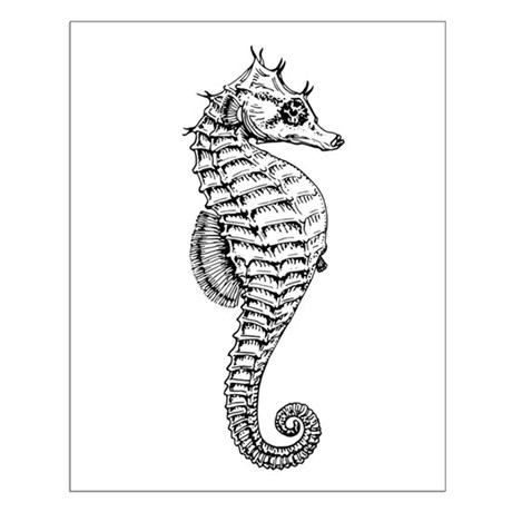460x460 Seahorse Sketch Wall Art - Seahorse Sketch