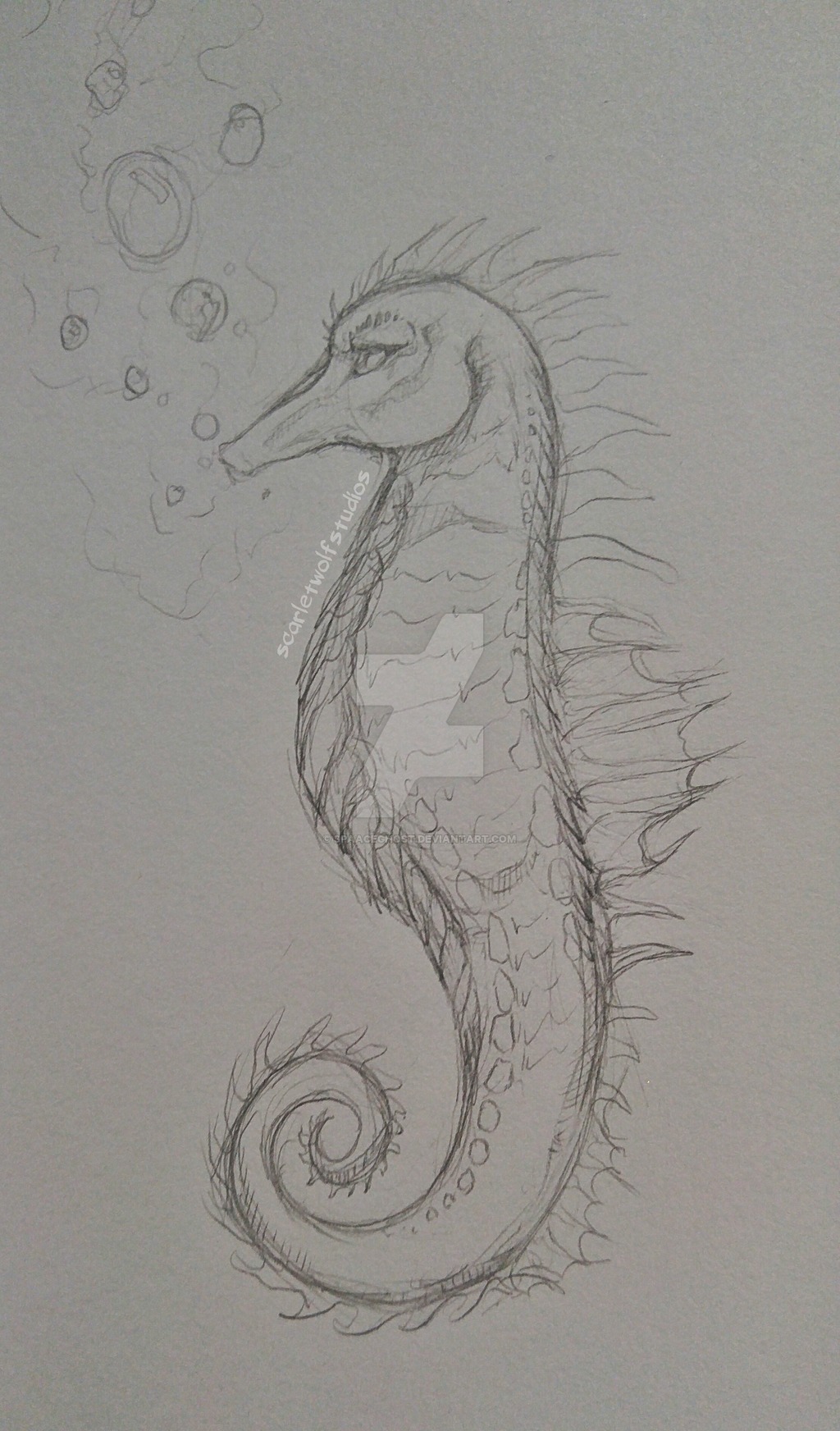 1024x1744 Seahorse Sketch By Spaaceghost - Seahorse Sketch