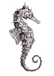 214x300 Seahorse Sketch - Seahorse Sketch