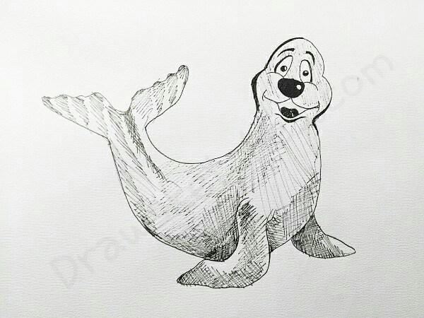 600x450 How To Draw A Seal In A Few Easy Steps With Pictures - Seal Sketch