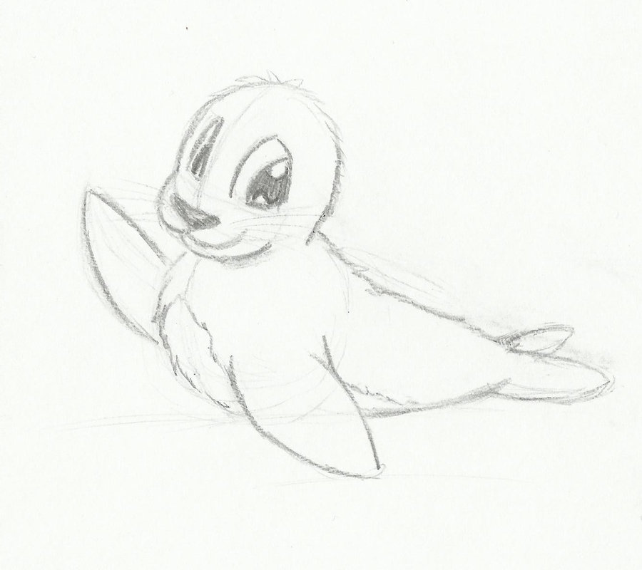 900x800 Seal Sketch By Phoenixa86 - Seal Sketch