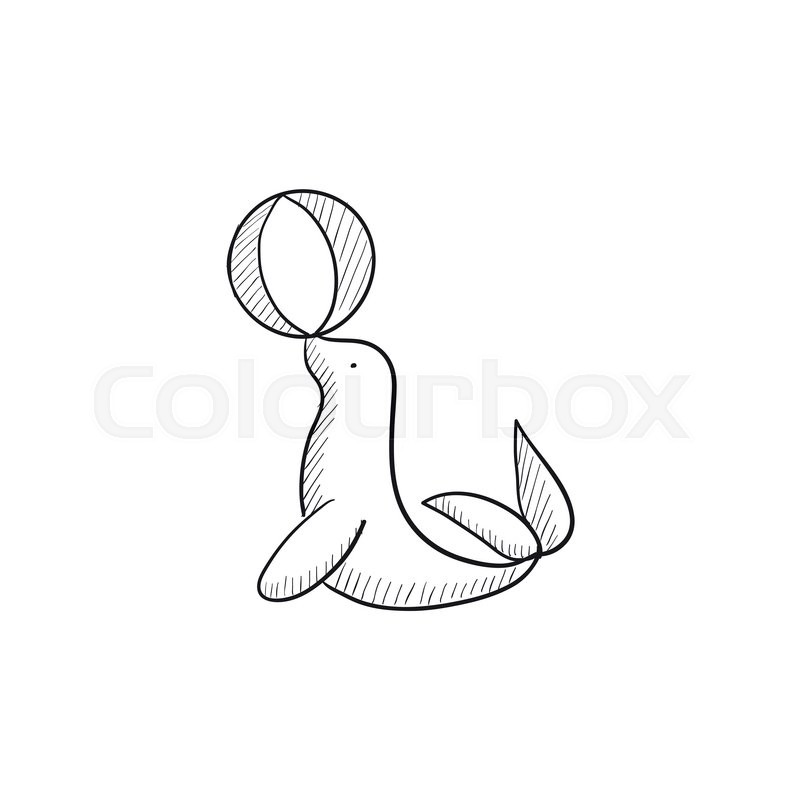 800x800 Trained Fur Seal Playing With Ball Vector Sketch Icon Isolated On - Seal Sketch