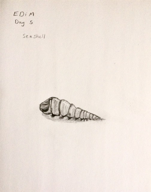 504x640 Seashell Sketch, Edim 2018, Day 5 Ardent Reflections Fine Art - Seashell Sketch