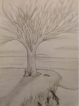 320x428 I Love Trees And They Are Hard To Draw. I Drew This One By The Sea - Seashore Sketches