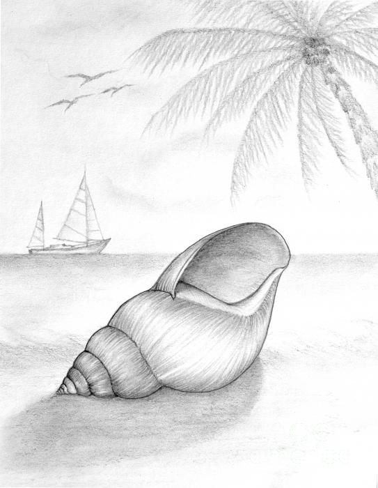 543x700 Pencil Sketches Pencil Sketches Scenery Sketches - Seashore Sketches