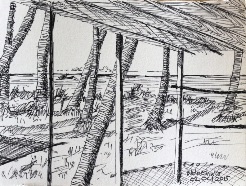 793x600 Seashore Archives - Seashore Sketches