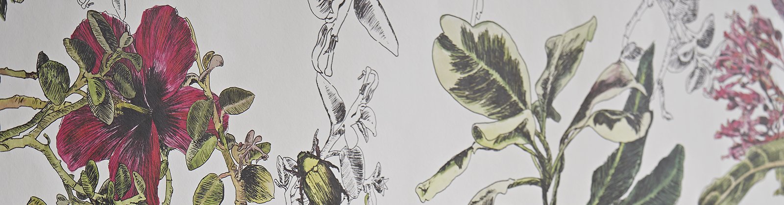 1600x420 Seasons Wallpaper Collection Sian Zeng - Seasons Sketch