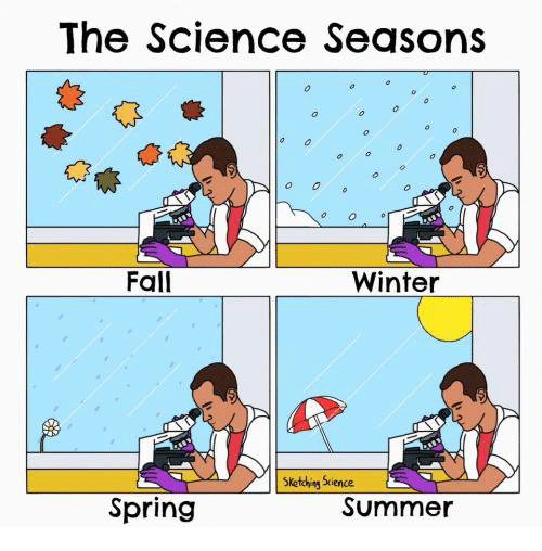500x508 The Science Seasons Fall Winter Sketch Science Spring Summer - Seasons Sketch
