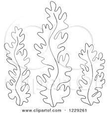 220x229 Image Result For Seaweed Drawing Inspiration - Seaweed Sketch