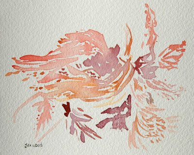 400x320 Seaweed - Seaweed Sketch