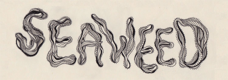 750x263 Seaweed Sketch Teela C - Seaweed Sketch