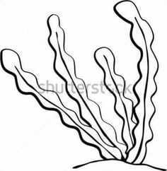 236x242 Drawn Seaweed Sketch 17 - Seaweed Sketch
