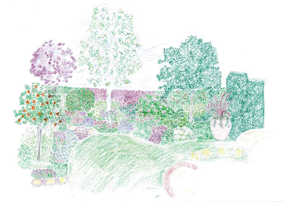 1000x707 The Secret Garden - Secret Garden Sketch