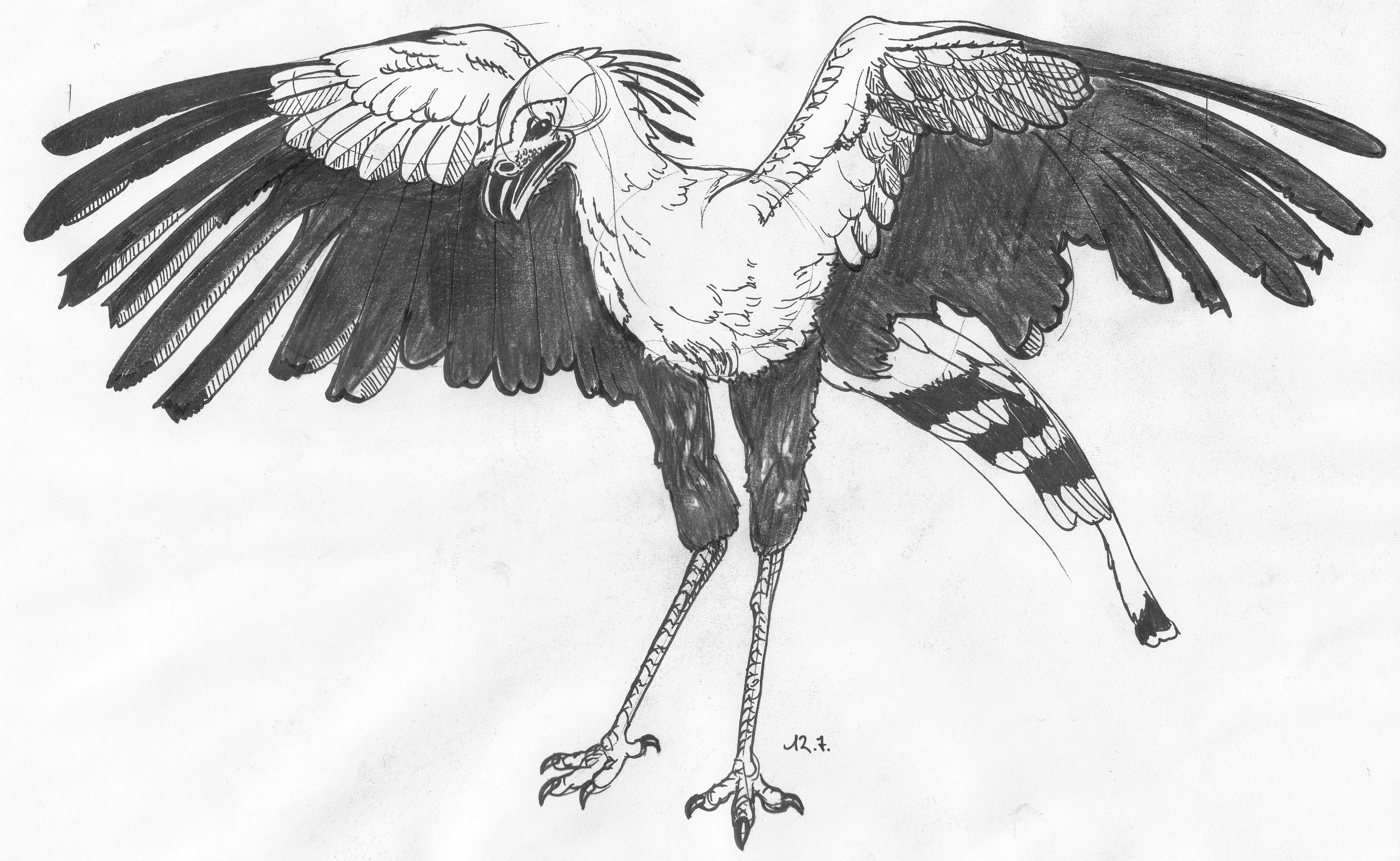 3425x2108 July 12th - Secretary Sketch