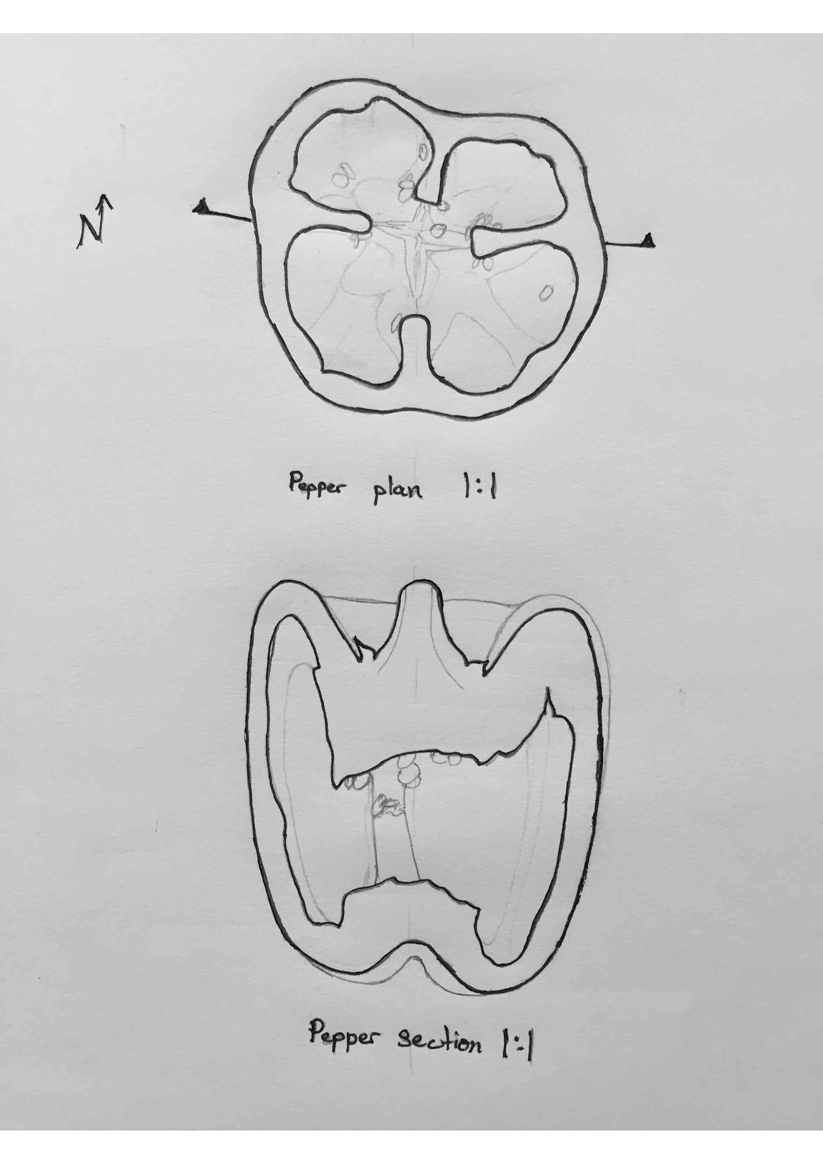 1200x1696 Plan And Section Sketches On Behance - Section Sketch