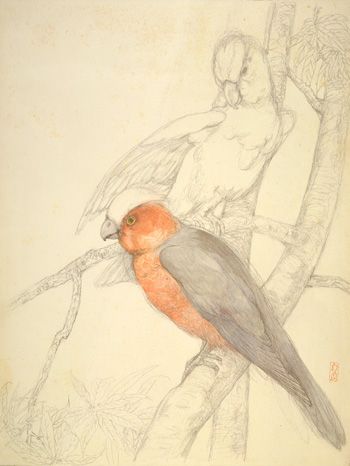 350x466 Parrots Early 20th Century Hashiguchi Goyo , (Japanese, 1880 1921 - Sensitive Sketch