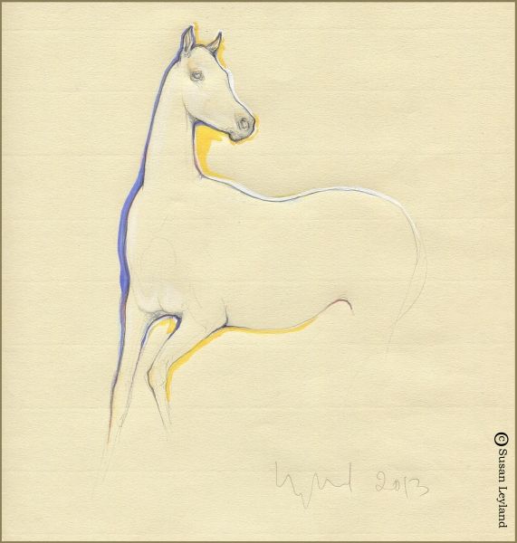 571x600 Sensitive - Sensitive Sketch