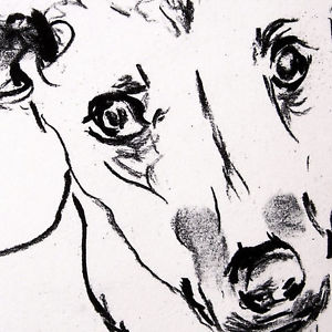 300x300 Sensitive Whippet Dog Charcoal Drawing ~ Minimal And Stylish Art - Sensitive Sketch