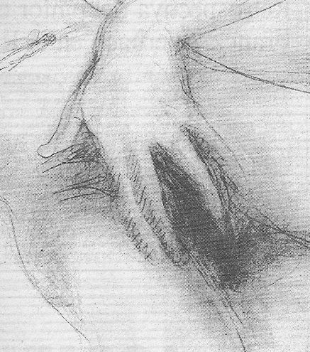437x495 Sensual Sketches Through The Art History Sketchuniverse - Sensual Sketches