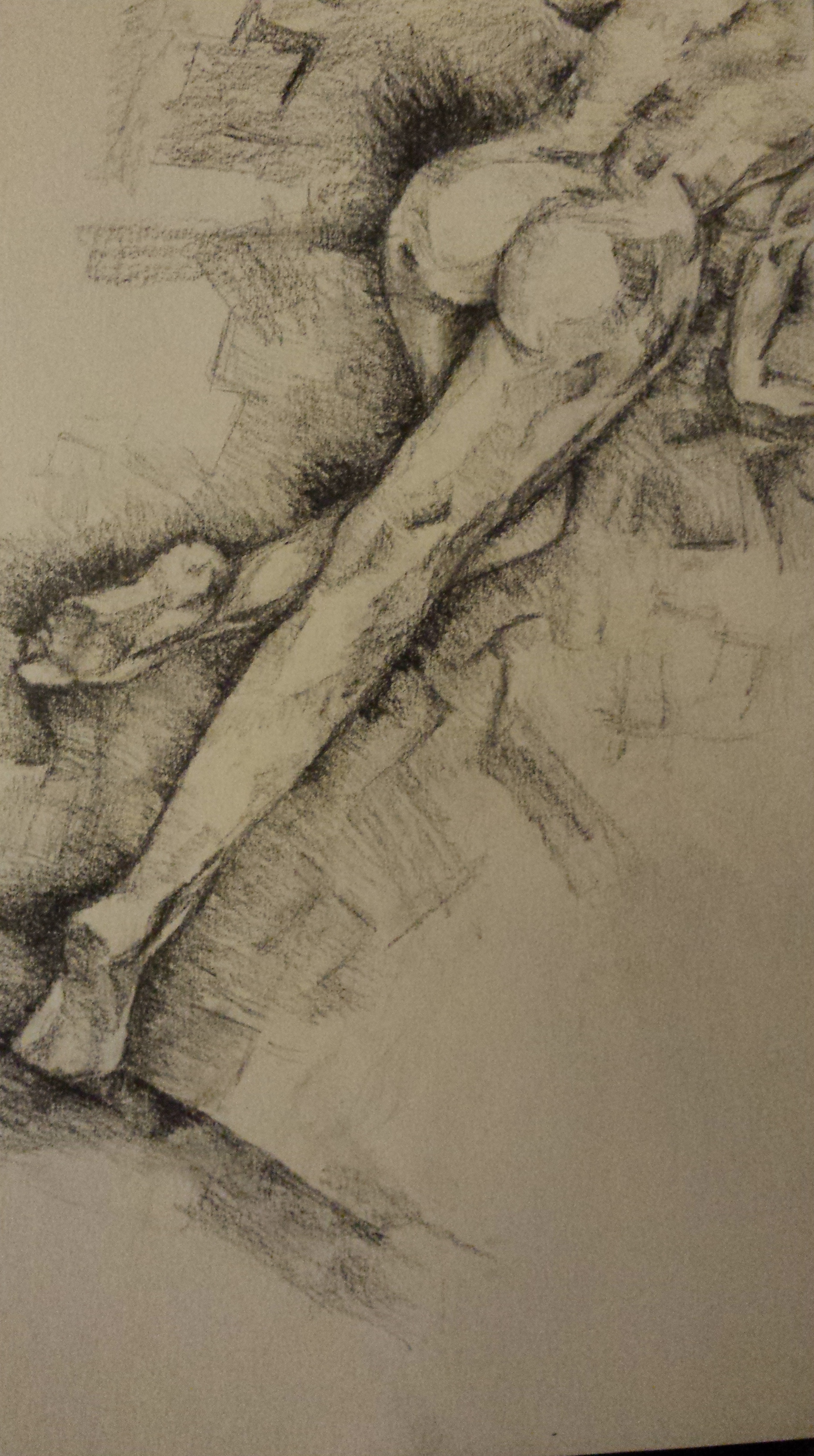 1824x3264 February 2016 Cackles.from.a.mad.duck - Sensual Sketches