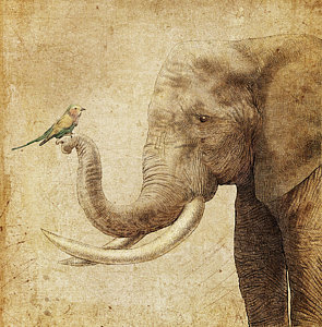 295x300 Sepia Drawings Fine Art America - Sepia Sketches