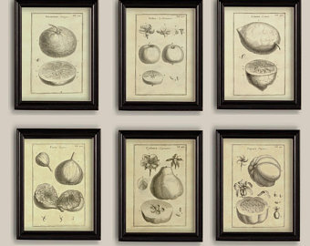 340x270 Sepia Sketches Etsy - Sepia Sketches