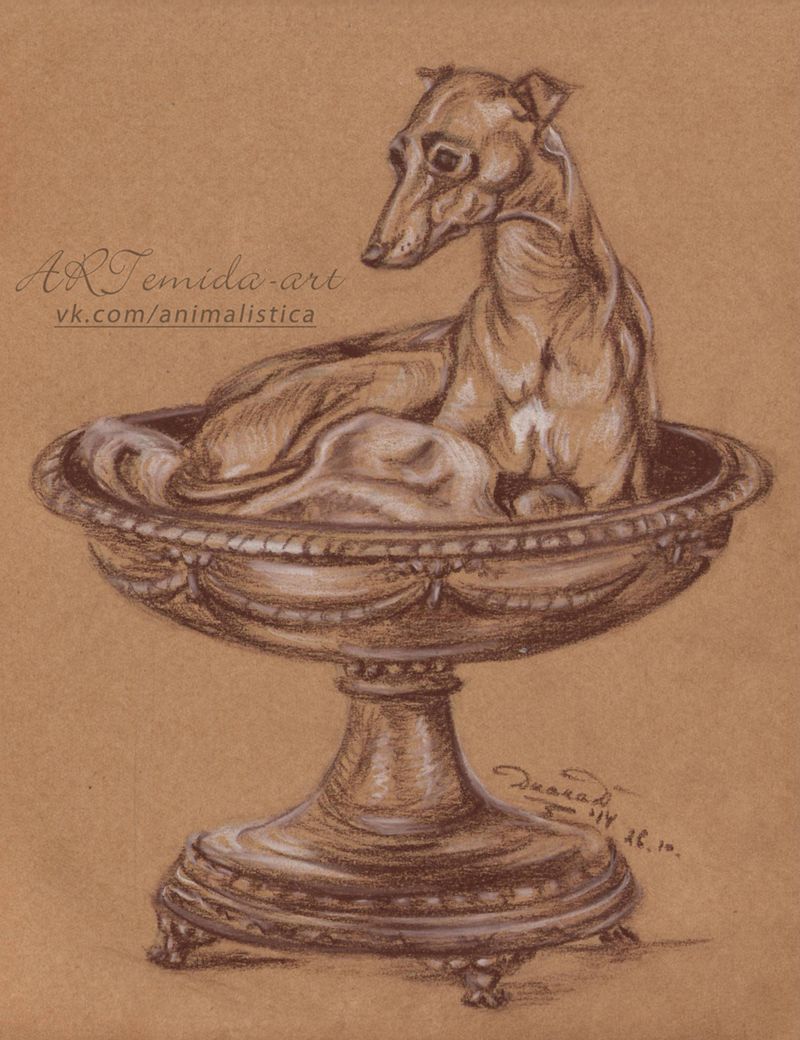 800x1040 Sketch 5 501250562 Art - Sepia Sketches