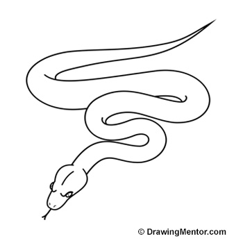 350x350 How To Draw A Snake - Serpent Sketch