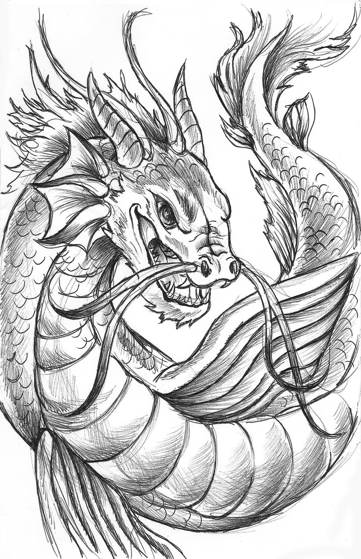 719x1111 Serpent Sketch By Fireberd904 - Serpent Sketch