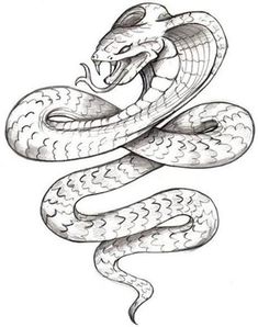 235x298 Snake Sketch Turn This Into A Tattoo By Having The Tail Wrap - Serpent Sketch