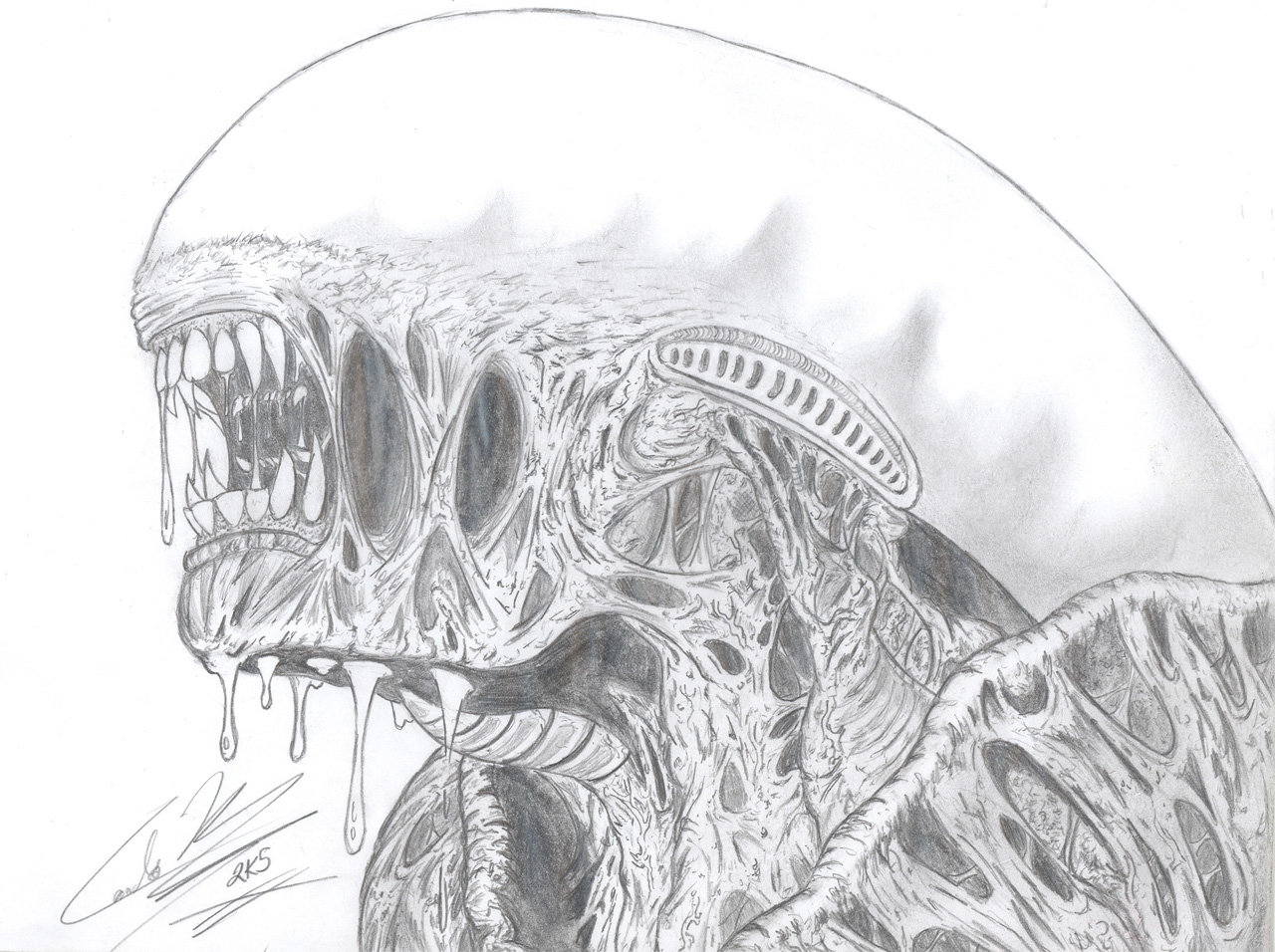 1280x956 The Serpent - Serpent Sketch