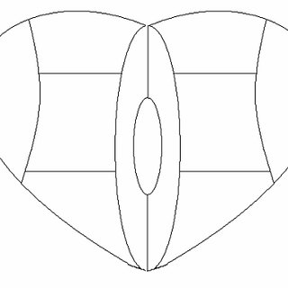 320x320 Five Region Model With 11 Biopsy Sites. Base (R) Right Base - Sextant Sketch