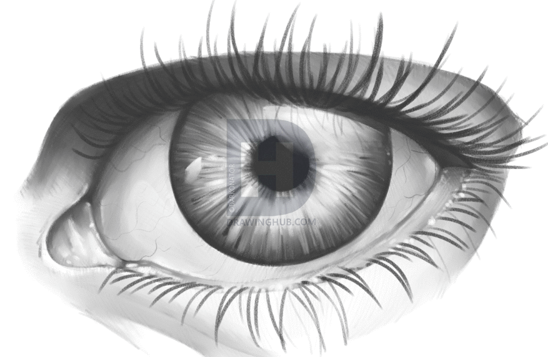 1080x705 How To Shade An Eye, Step By Step, Drawing Guide, By Darkonator - Shading Sketches
