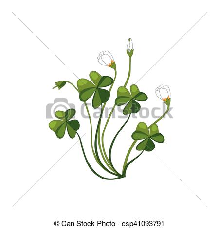 450x470 Shamrock Wild Flower Hand Drawn Detailed Illustration. Plant - Shamrock Sketch