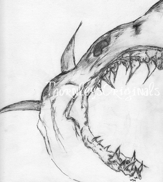 570x634 Pin By James On Tattoo Art Shark Drawing, Drawings - Shark Jaw Sketch