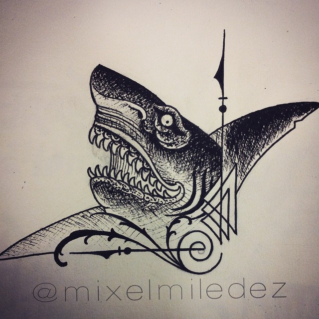 640x640 - Shark Jaw Sketch