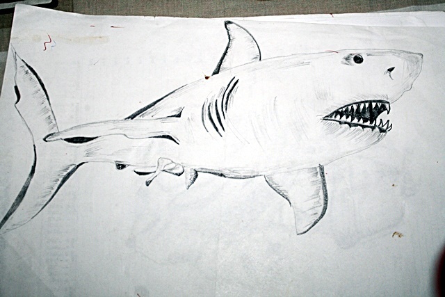 640x427 Shark Pencil Sketch Art Show Disqus - Shark Pencil Sketch