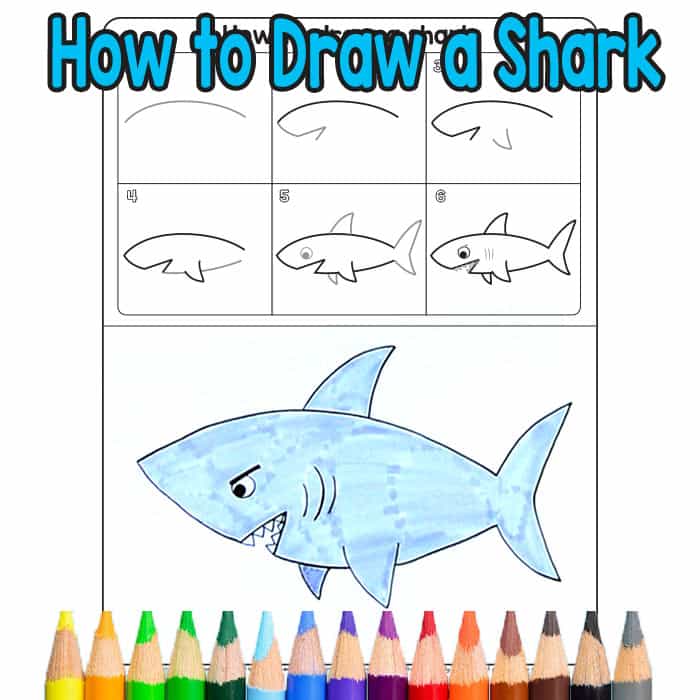 700x700 How To Draw A Shark - Shark Sketch Easy