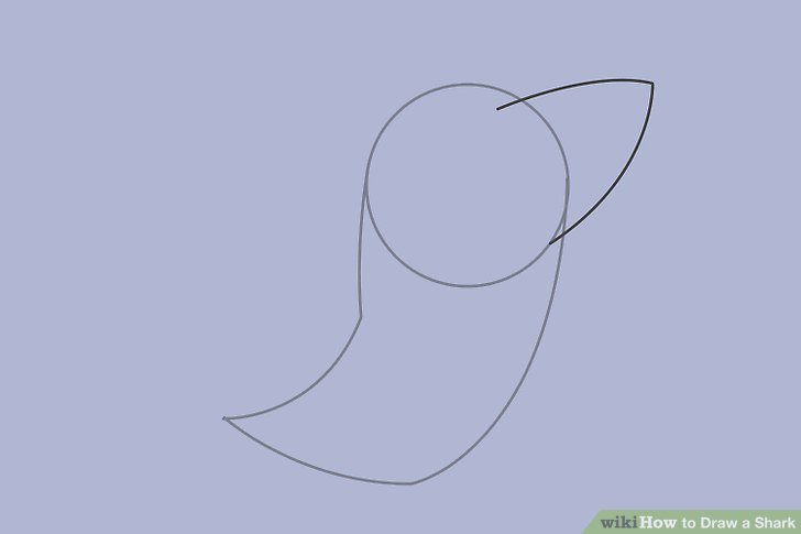 728x485 4 Ways To Draw A Shark - Shark Sketch Easy