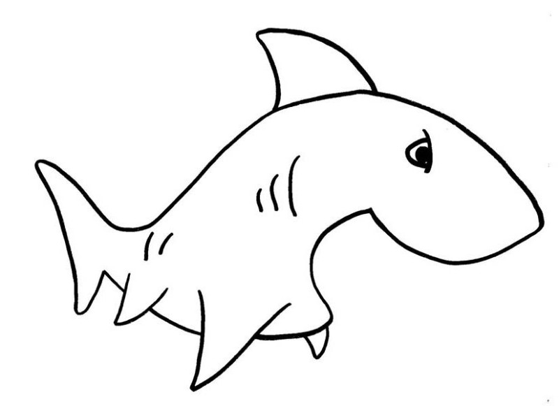 800x581 Shark Clipart Easy Draw - Shark Sketch Easy