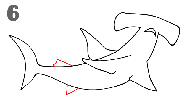 642x362 How To Draw A Hammerhead Shark - Shark Sketch Easy