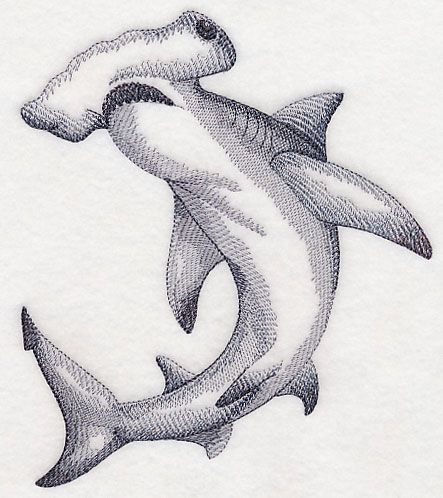 443x498 Hammerhead Shark Sketch Tatoo Shark Tattoos - Shark Sketch Images