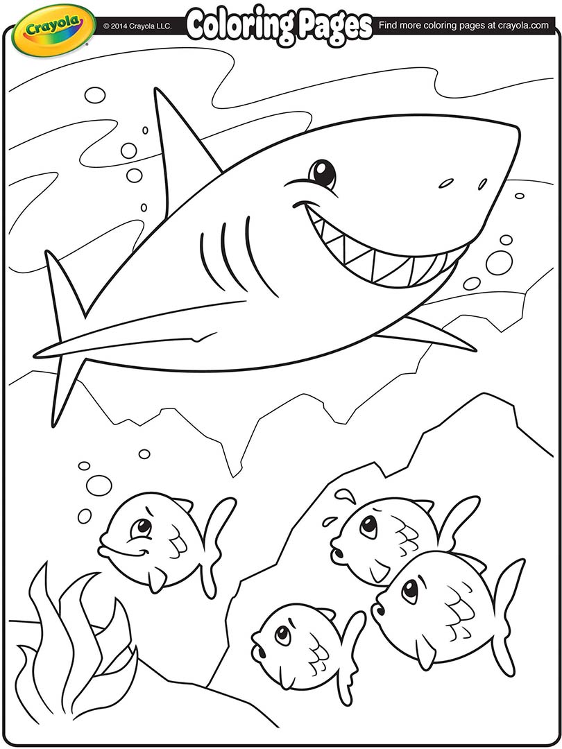 810x1080 Shark Sketch Crayola.ca - Shark Sketch Images