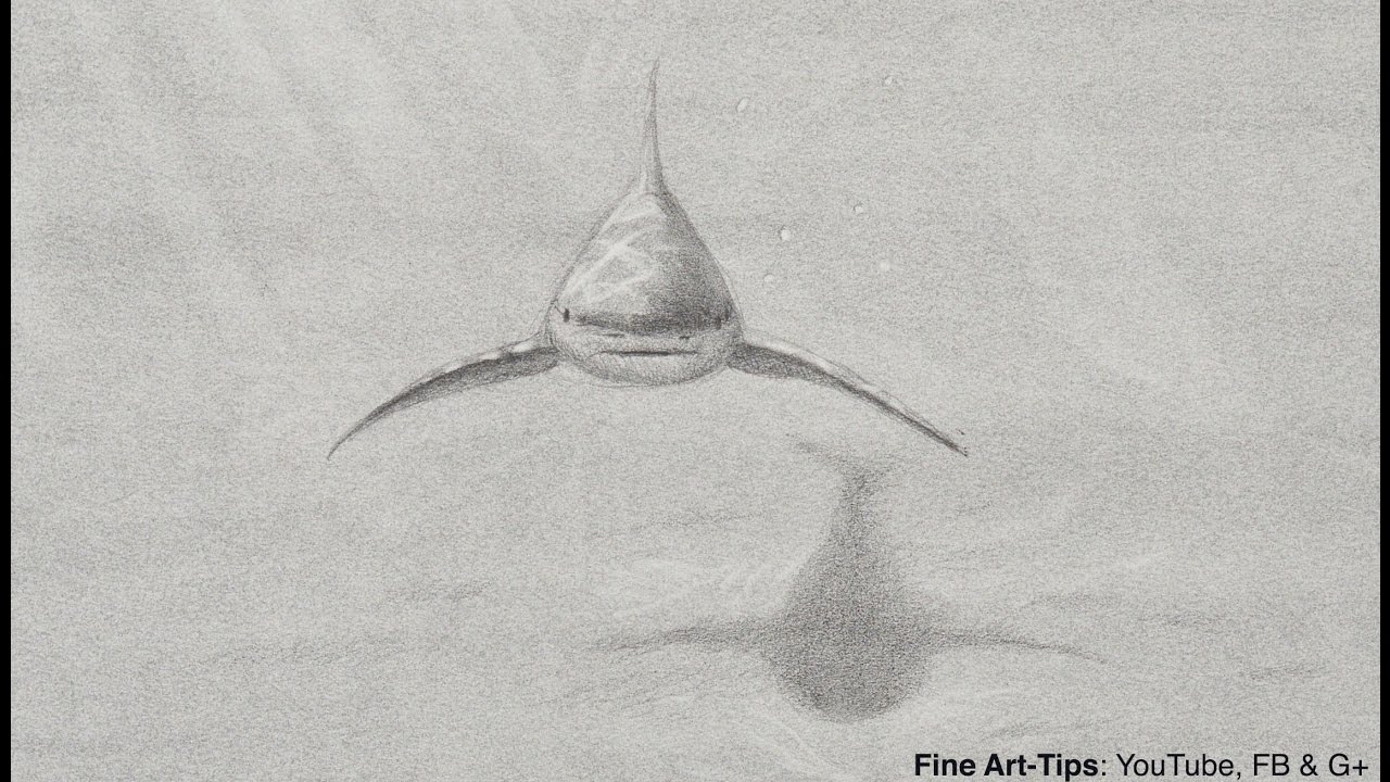 1280x720 How To Draw A Shark - Shark Sketch Pictures